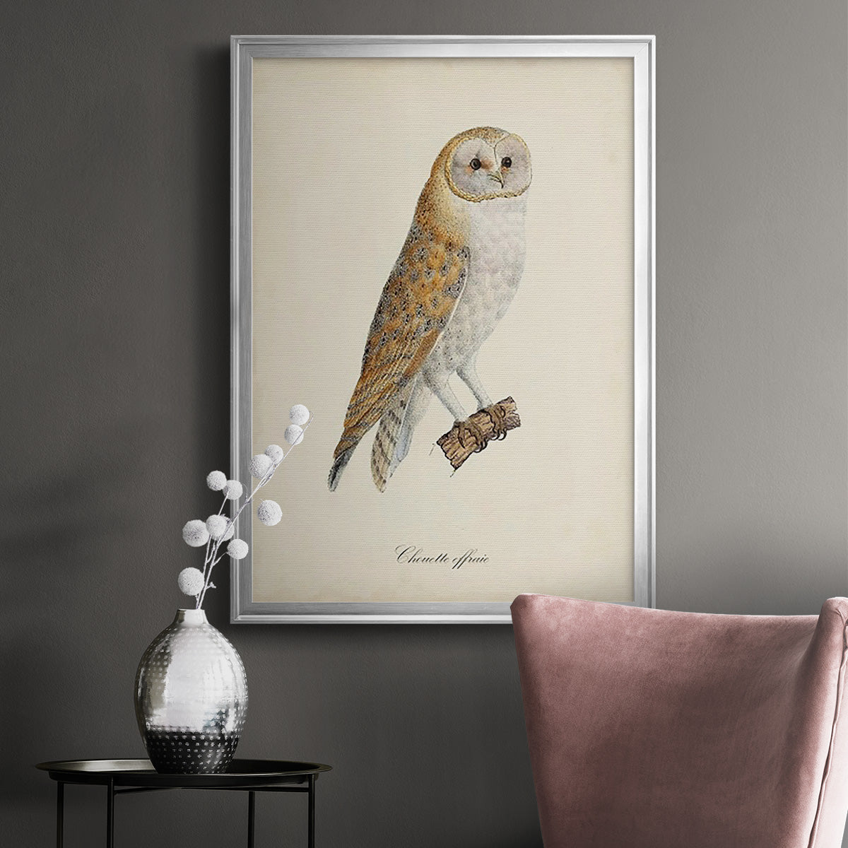 French Owls VI - Modern Framed Canvas Print