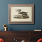 Audubons Brown Pelican - Ornate Framed Canvas Print