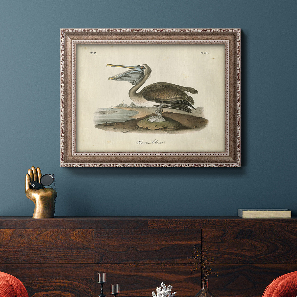 Audubons Brown Pelican - Ornate Framed Canvas Print