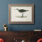 Morris Sandpipers VI Premium Framed Canvas- Ready to Hang