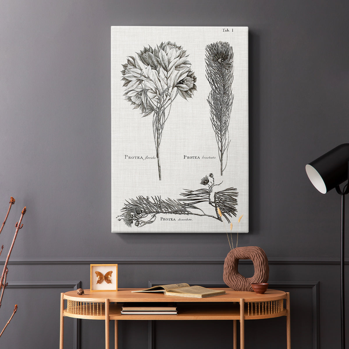 Black & White Protea on Linen I - Canvas Art Print