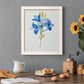 Blue Blossom Botanical III - Premium Canvas Framed in Barnwood - Ready to Hang