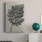 Blossfeldt Botanical III Premium Gallery Wrapped Canvas - Ready to Hang