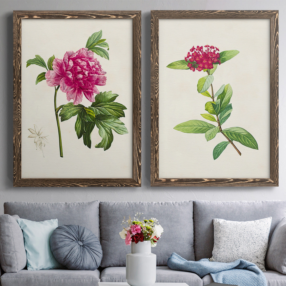 Set of two walnut barnwood framed canvas prints depicting paired vintage botanical plate illustrations with peonies thistles leafy stems and archival cream paper above a sofa in a contemporary living room.