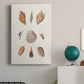 Knorr Shells & Coral VI Premium Gallery Wrapped Canvas - Ready to Hang