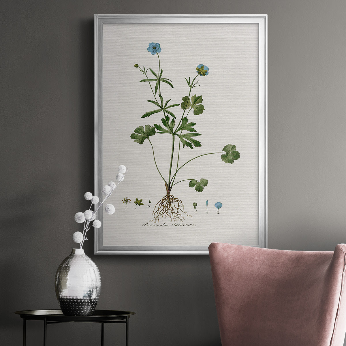 Buttercup Study - Modern Framed Canvas Print