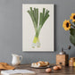 Organic Veg II Premium Gallery Wrapped Canvas - Ready to Hang