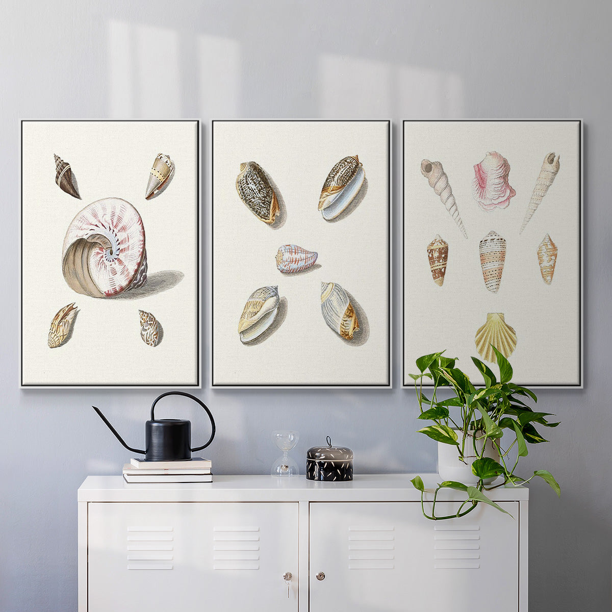 Pastel Knorr Shells I - Framed Premium Gallery Wrapped Canvas L Frame 3 Piece Set - Ready to Hang