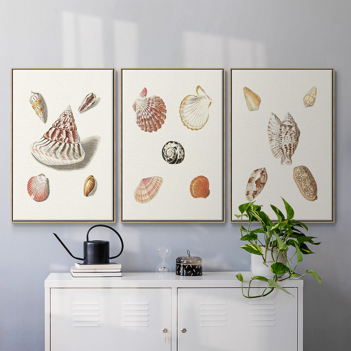 Pastel Knorr Shells IV - Framed Premium Gallery Wrapped Canvas L Frame 3 Piece Set - Ready to Hang