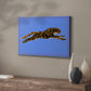 The Wild Leopard II - Canvas Art Print