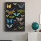 Graphic Butterfly Taxonomy I Premium Gallery Wrapped Canvas - Ready to Hang