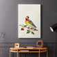 Guinea Parrot, 1796 - Canvas Art Print