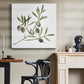 Olive Branch II - Canvas Art Print