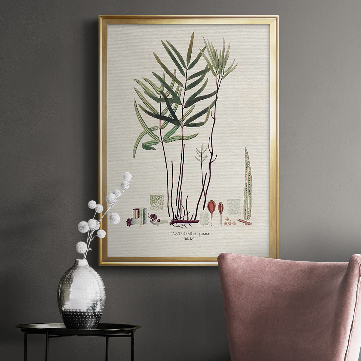 Botanical Society Ferns XI - Modern Framed Canvas Print