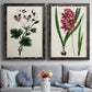 Set of two black barnwood framed canvas prints depicting paired antique botanical plate illustrations with detailed blossoms, leaves, roots, and archival cream grounds above a sofa in a contemporary living room.