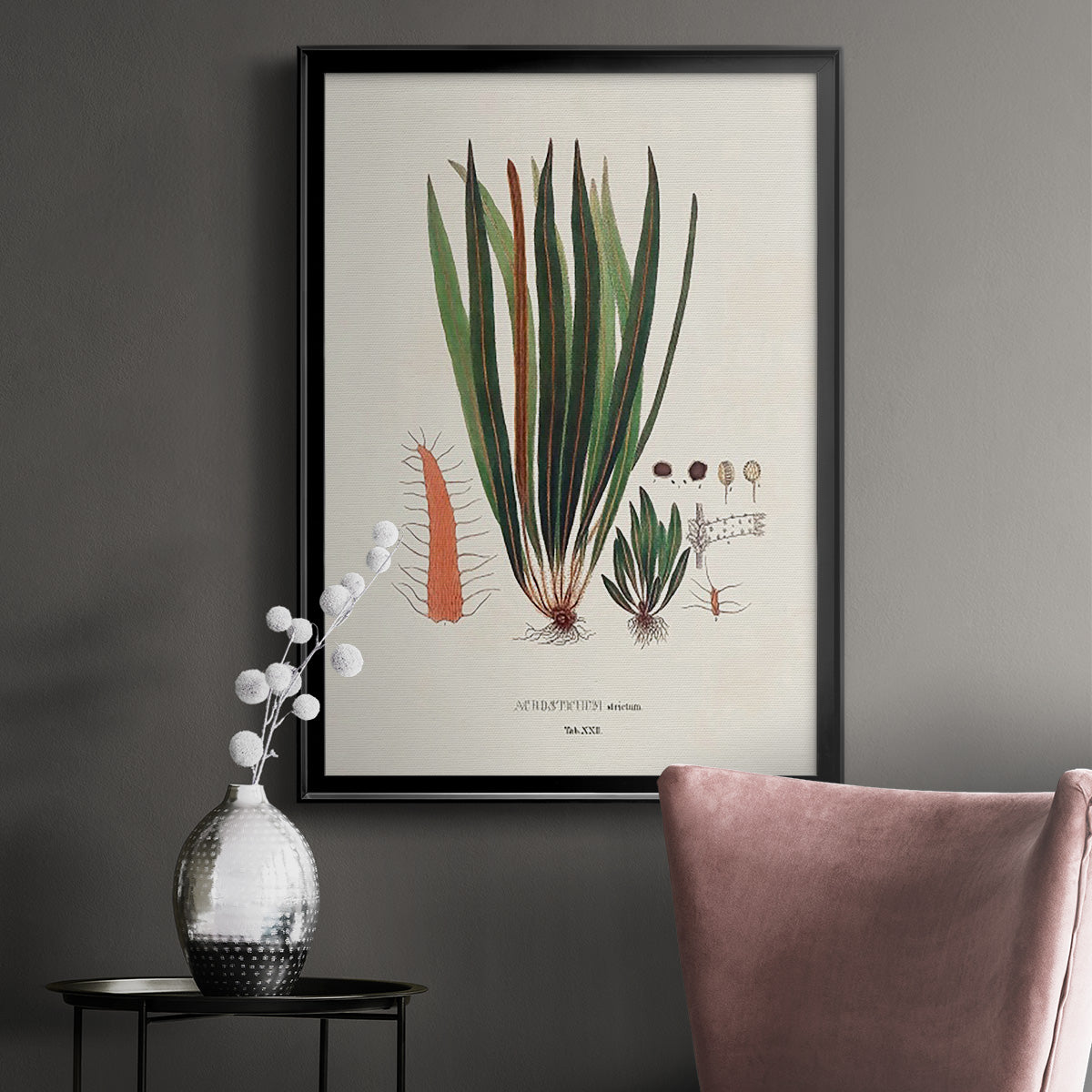 Botanical Society Ferns V - Modern Framed Canvas Print