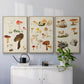 Mushroom Species VI - Framed Premium Gallery Wrapped Canvas L Frame 3 Piece Set - Ready to Hang