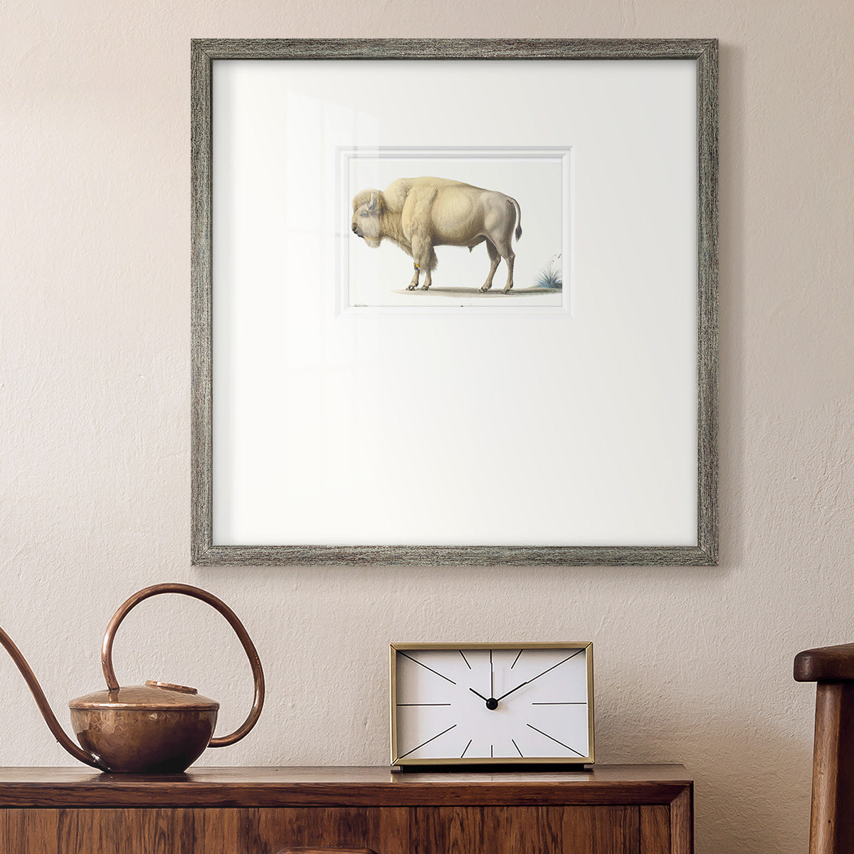 White Buffalo Premium Framed Print Double Matboard