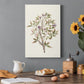 Twig Study II Premium Gallery Wrapped Canvas - Ready to Hang