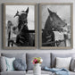 Argenteuil - Premium Framed Canvas 2 Piece Set - Ready to Hang