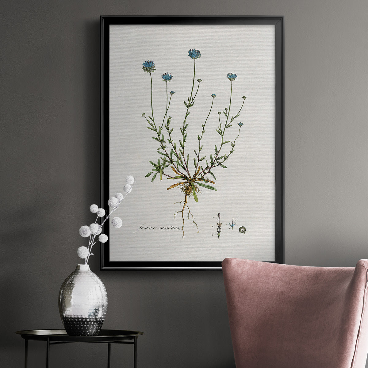 Bellflower Study - Modern Framed Canvas Print