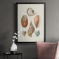 Knorr Shells & Coral I - Modern Framed Canvas Print