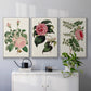 Pink Floral Mix I - Framed Premium Gallery Wrapped Canvas L Frame 3 Piece Set - Ready to Hang