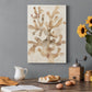 Parchment Coral I Premium Gallery Wrapped Canvas - Ready to Hang