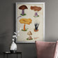 Mushroom Species VII - Modern Framed Canvas Print