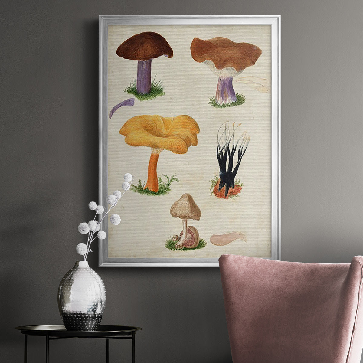 Mushroom Species VII - Modern Framed Canvas Print