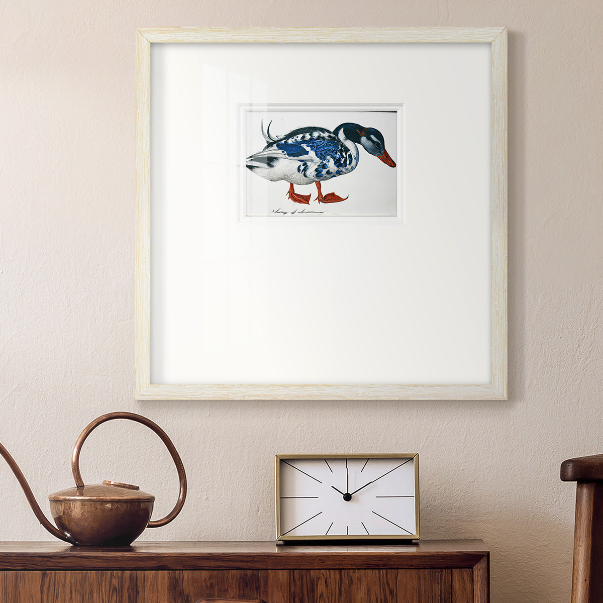 Blue Mallard Premium Framed Print Double Matboard