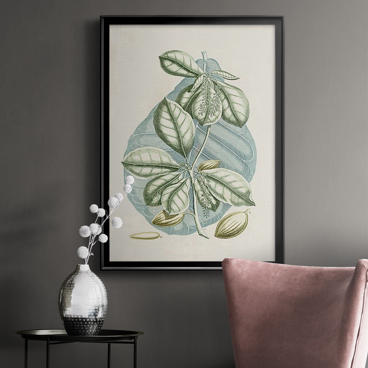 Buchoz Tropicals VI - Modern Framed Canvas Print