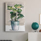 Potted Houseplant II - Canvas Art Print