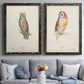 Scops- Eared Owl - Premium Framed Canvas 2 Piece Set - Ready to Hang