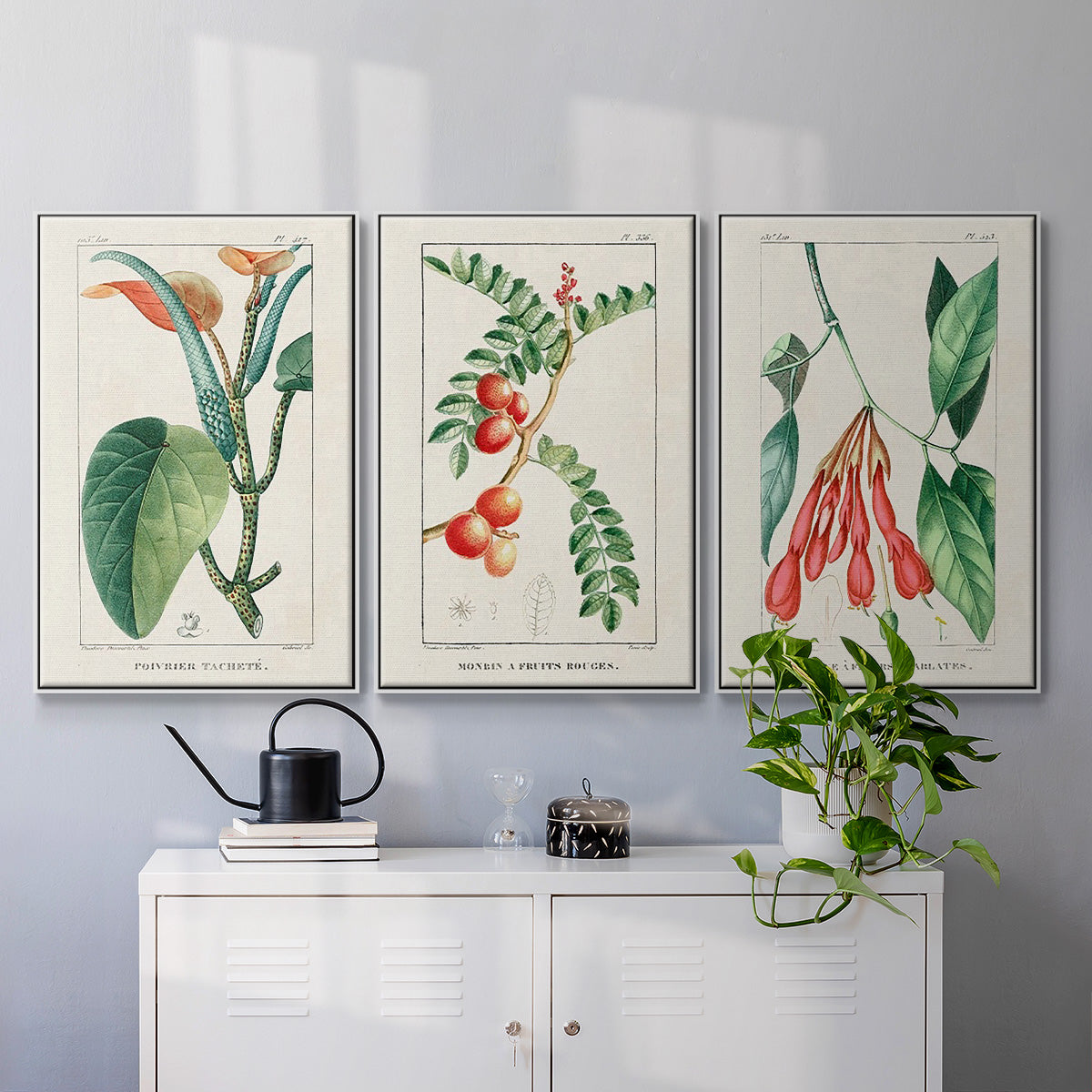 Turpin Tropical Botanicals I - Floater Framed Canvas Set