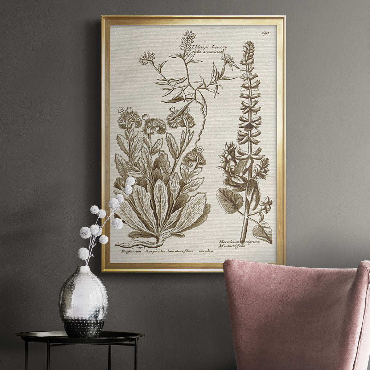 Sepia Botanical Journal IV - Modern Framed Canvas Print