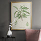 Antique Almond Botanical III - Modern Framed Canvas Print