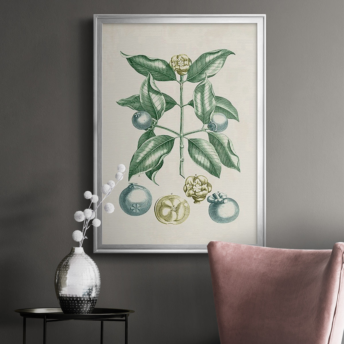 Buchoz Tropicals VII - Modern Framed Canvas Print