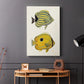 Yellow & Grey Fish III - Canvas Art Print