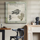 Biologia Marina IV - Canvas Art Print