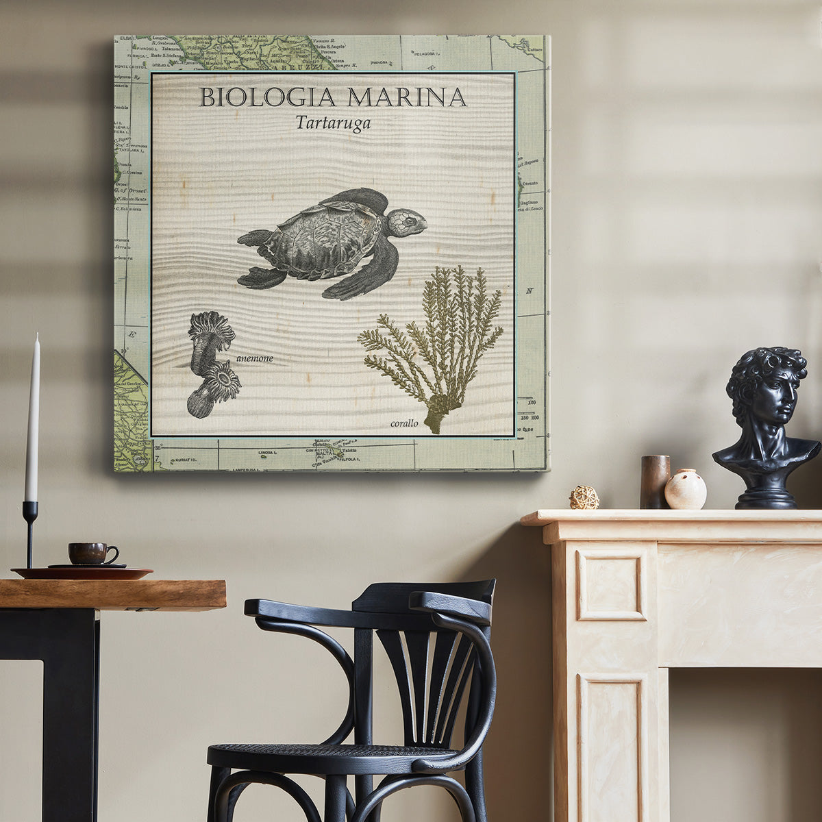 Biologia Marina IV - Canvas Art Print
