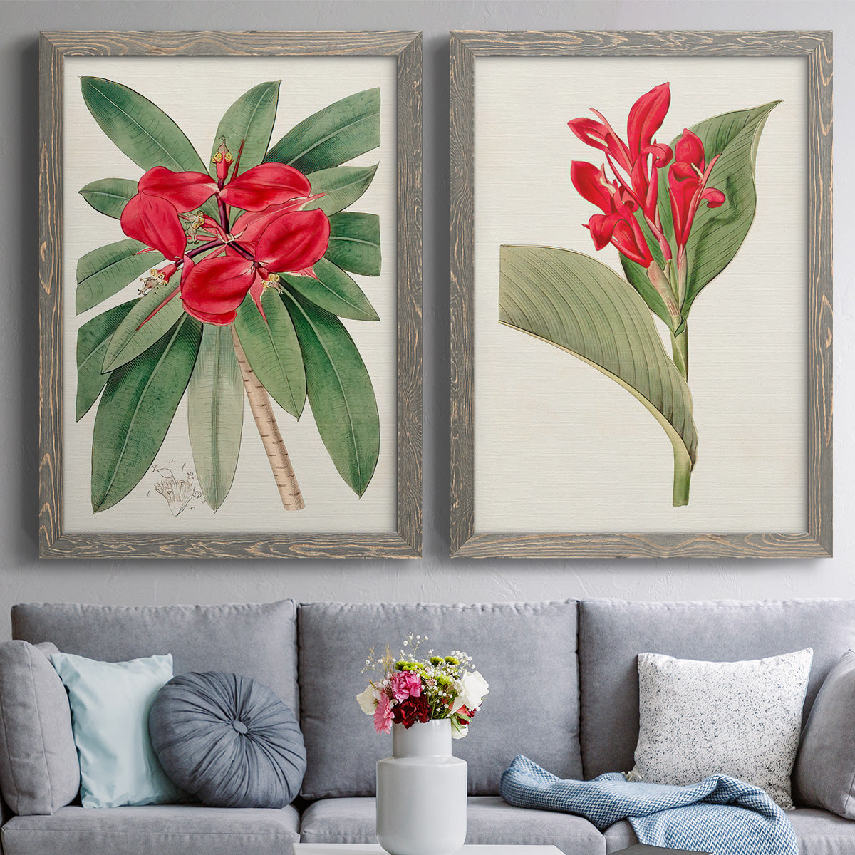 Set of two gray barnwood framed canvas prints depicting paired antique botanical plate illustrations with large green leaves, red blossoms, and archival cream paper above a sofa in a contemporary living room.