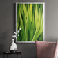 Blades of Grass II - Modern Framed Canvas Print