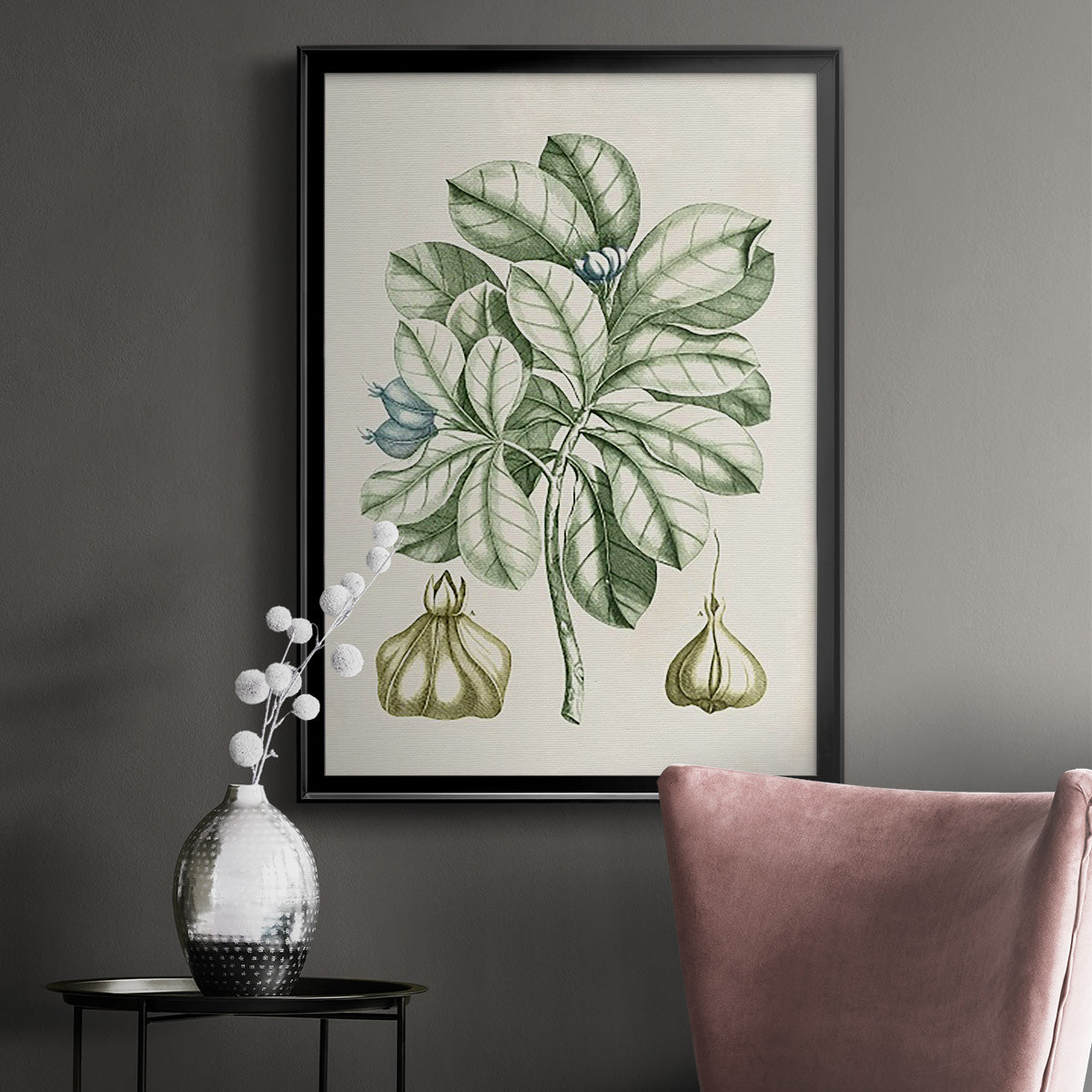 Buchoz Tropicals IX - Modern Framed Canvas Print