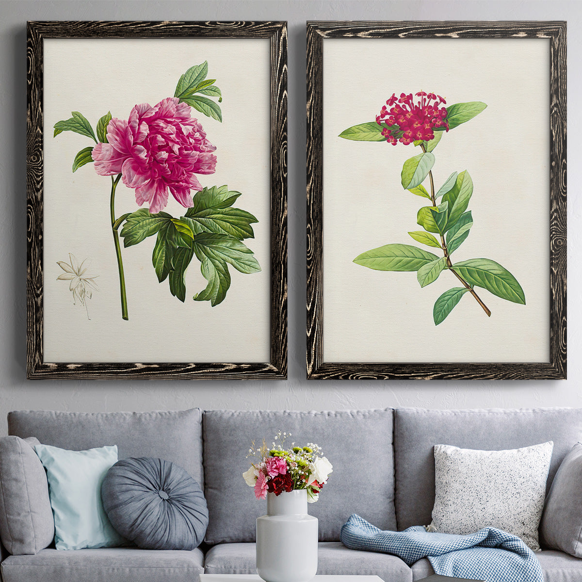 Set of two black barnwood framed canvas prints depicting paired vintage botanical plate illustrations with peonies thistles leafy stems and archival cream paper above a sofa in a contemporary living room.