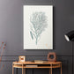 Antique Coastal Coral I - Canvas Art Print
