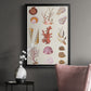 Coral & Shell Collage II -  Framed Canvas Print