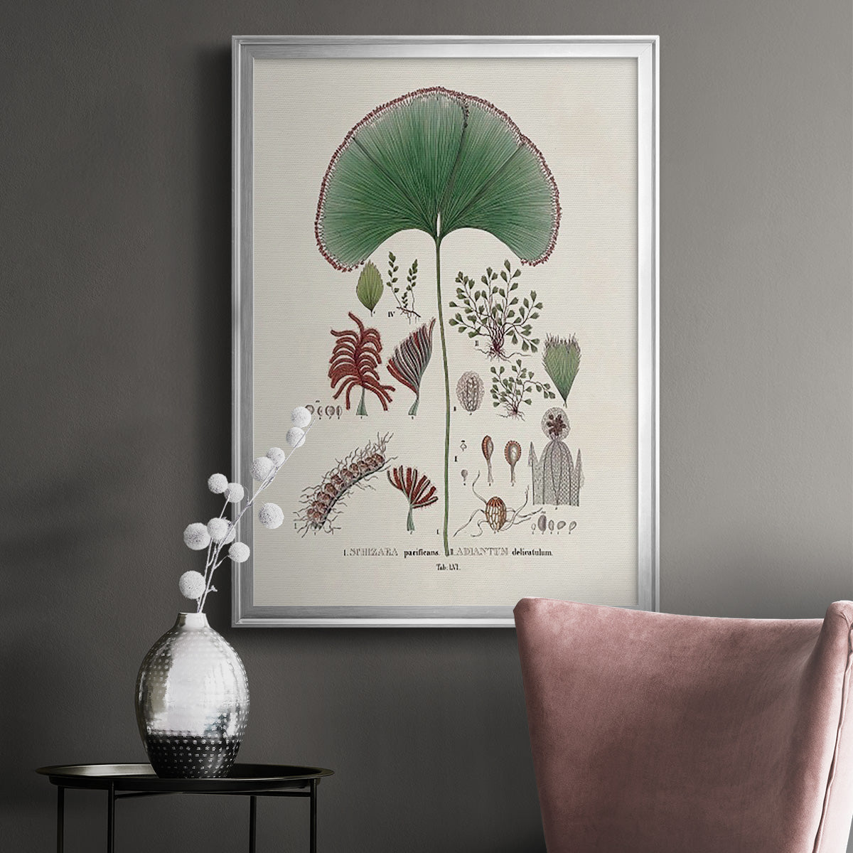 Botanical Society Ferns III - Modern Framed Canvas Print