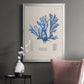 Blue Marine Algae IX -  Framed Canvas Print