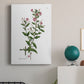 Rose Botanical III Premium Gallery Wrapped Canvas - Ready to Hang